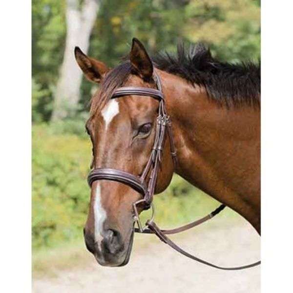 avignon wellington square raised hunter bridle
