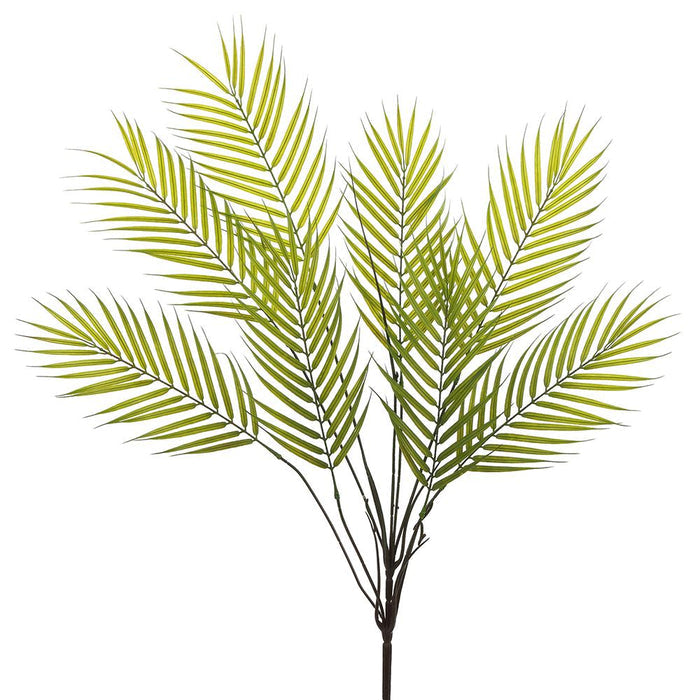 Green Palm Bush