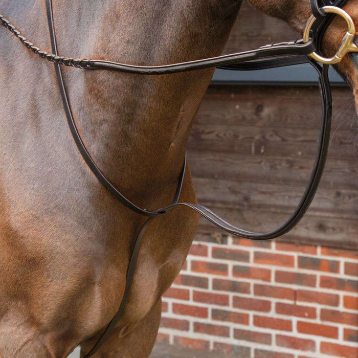 velociti lusso fancy standing martingale