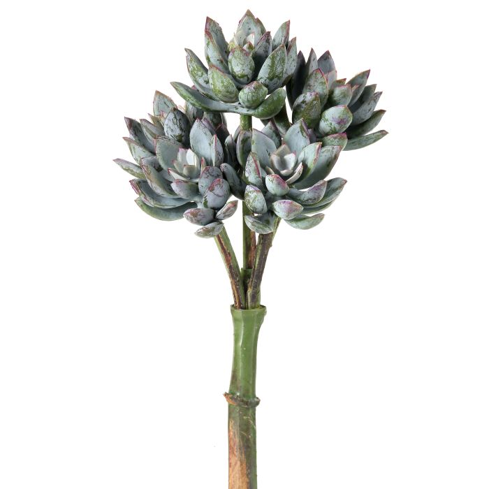 Silk blue gray UV protect star succulent pick 9 inch outdoor safe for transitional everyday home decor from Magnolias Home Decor
