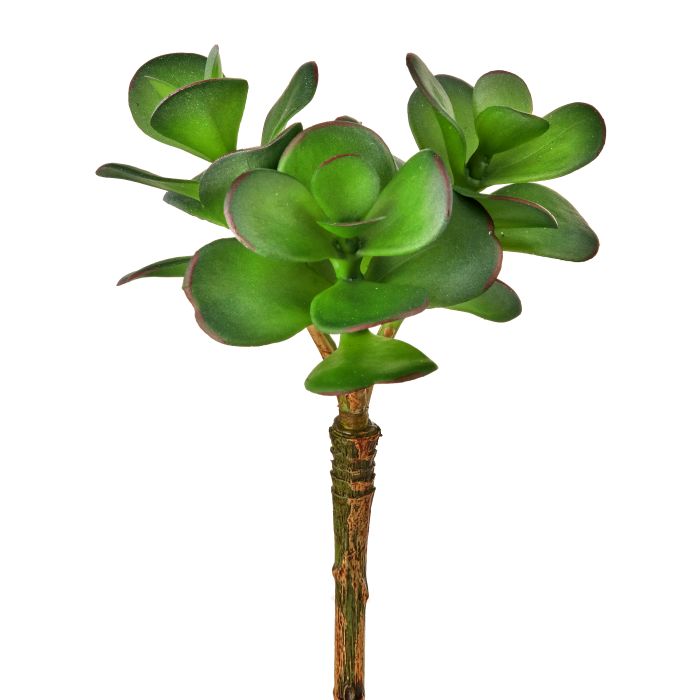Silk green UV protect triple jade succulent 6.5 inch outdoor safe for transitional everyday home decor from Magnolias Home Decor