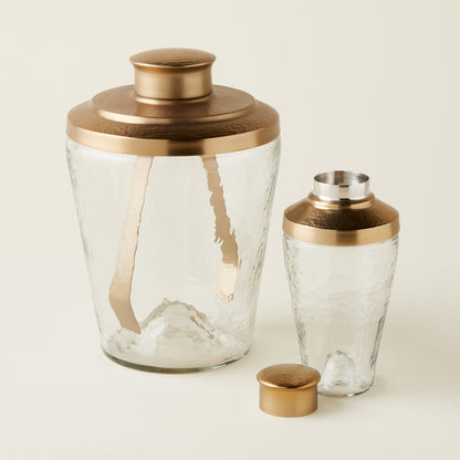 Ana Glass Cocktail Shaker
