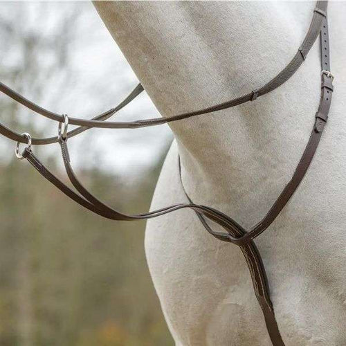 avignon fancy stitch padded running martingale