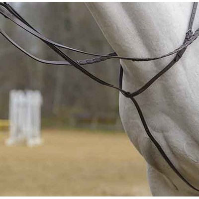 Avignon Fancy Stitch Hunter Standing Martingale Close Up On Horse