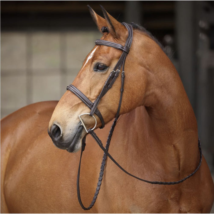 Brown horse wearing a bridle with a blurred background