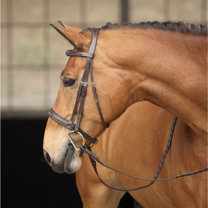 Brown horse wearing asquare raised english bridle with a blurred background