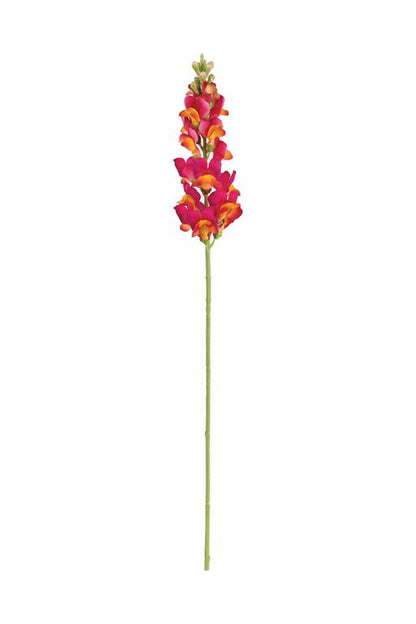 Beauty Snapdragon Spray