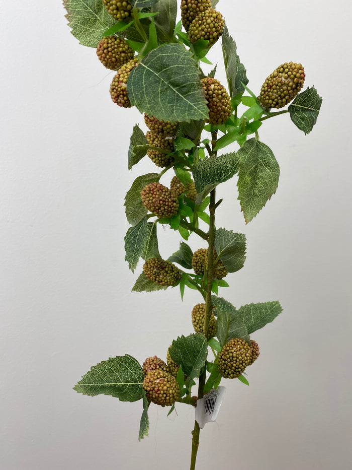 Coral Raspberry Spray
