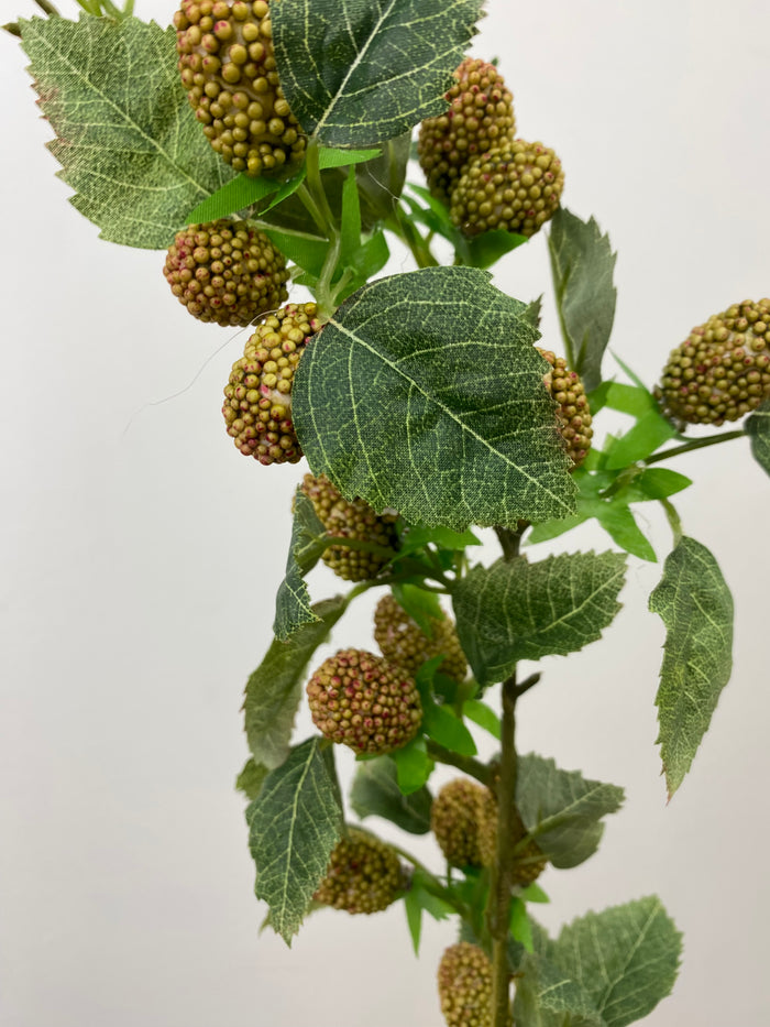 Coral Raspberry Spray