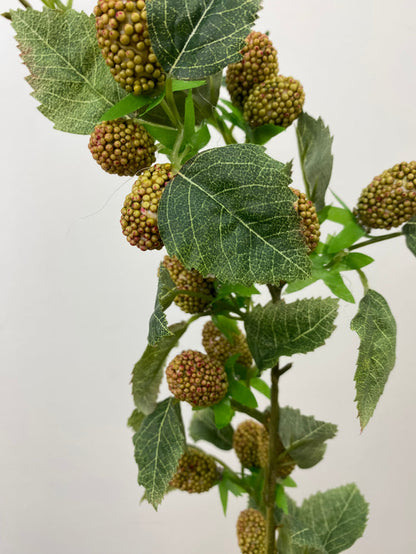 Coral Raspberry Spray