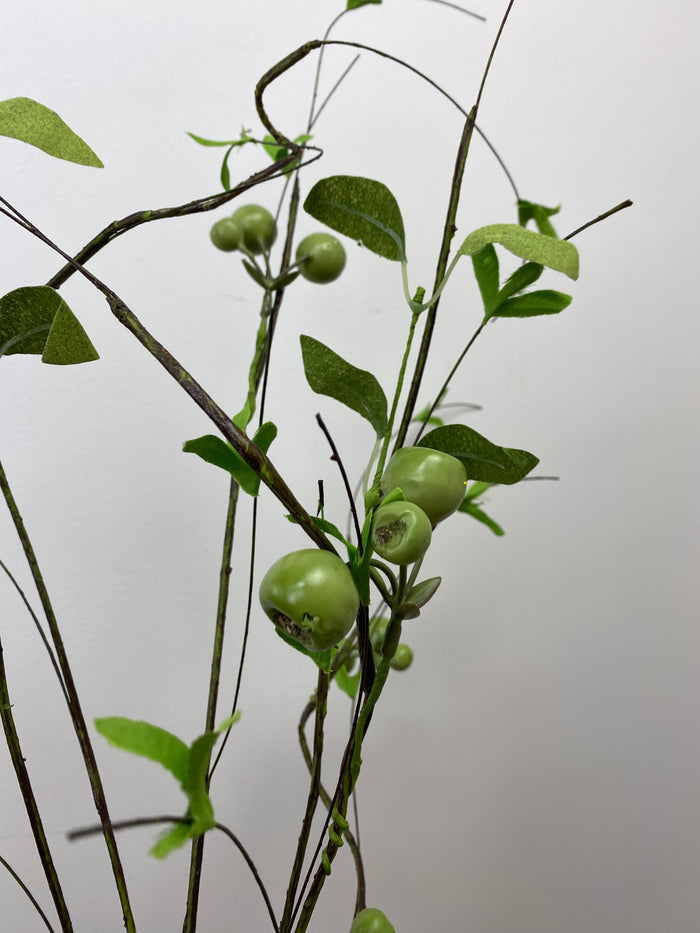 Crater Berry Twig Spray