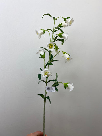 Cream Campanula Spray