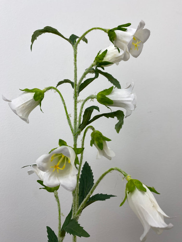 Cream Campanula Spray