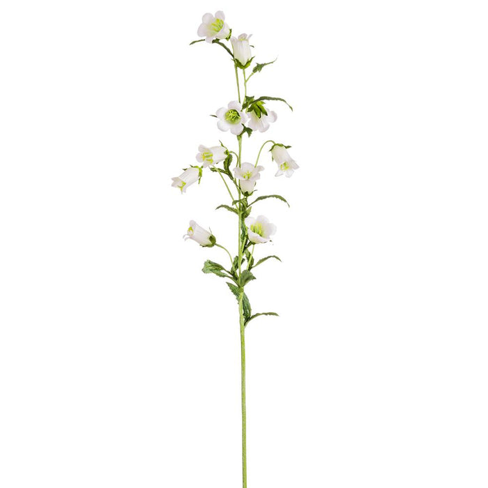 Cream Campanula Spray