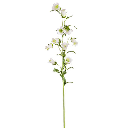 Cream Campanula Spray