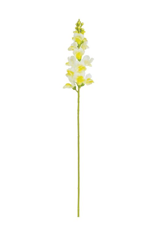 Cream Snapdragon Spray