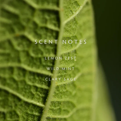 Crushed Mint Large Candle