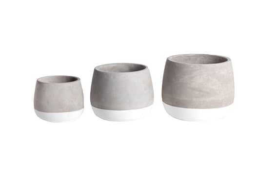 Ellie Pot   CN1056