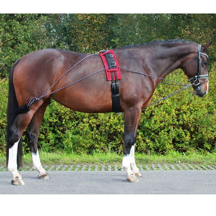 pessoa style lunging training system
