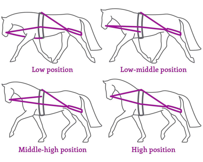 pessoa style lunging aid system settings