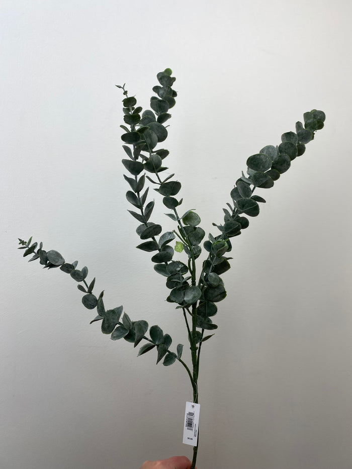 Eucalyptus Elegance Spray