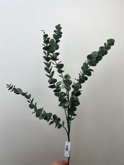 Eucalyptus Elegance Spray