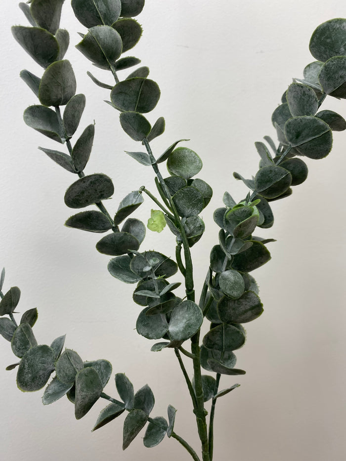 Eucalyptus Elegance Spray
