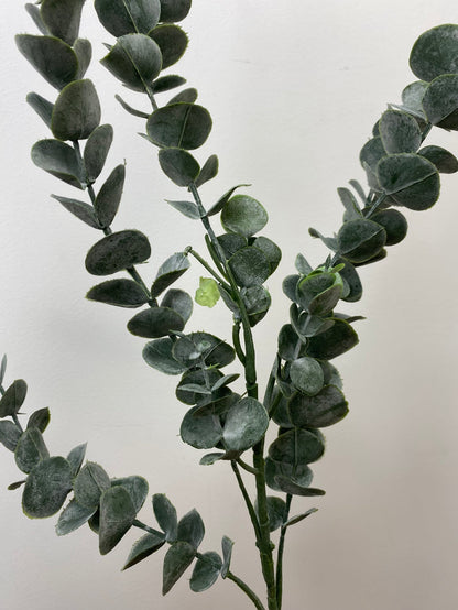 Eucalyptus Elegance Spray