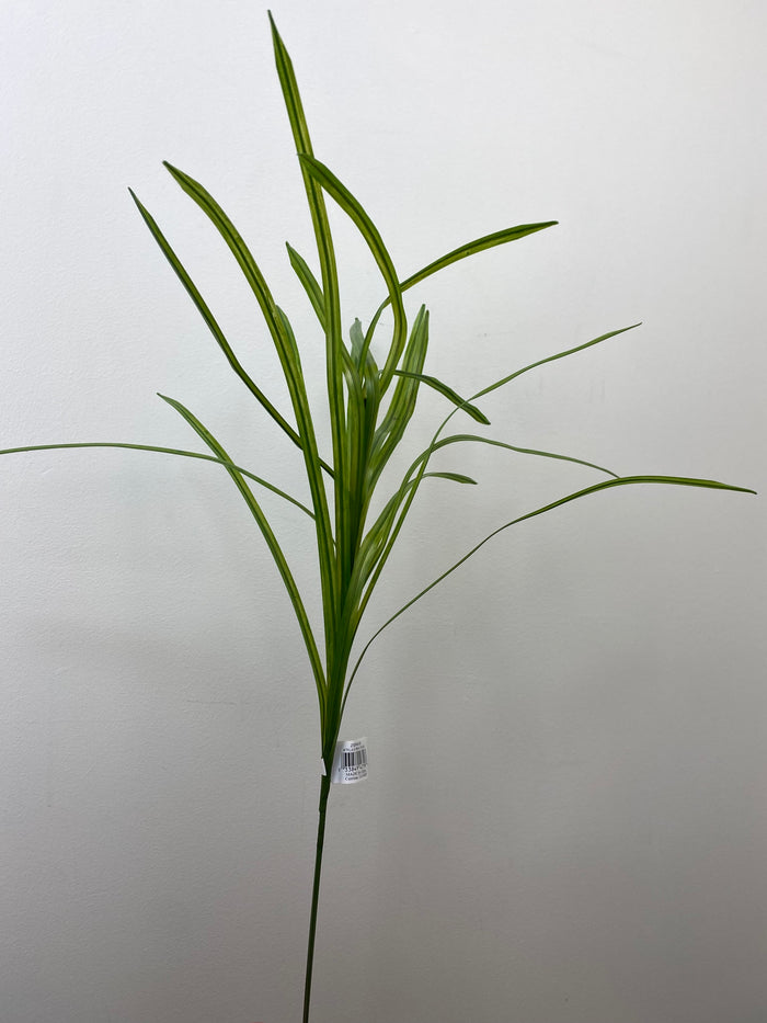 Green Flax Grass Spray