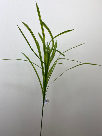 Green Flax Grass Spray