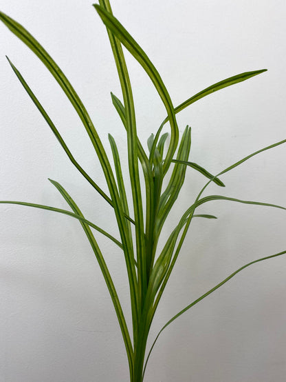 Green Flax Grass Spray