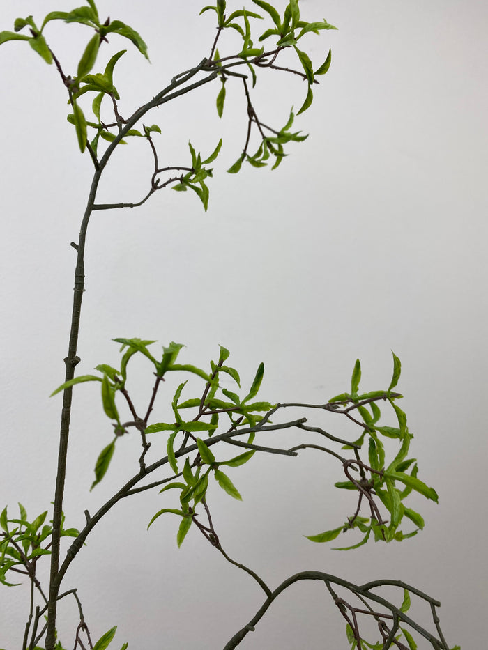 Green Mini Leaf Spray
