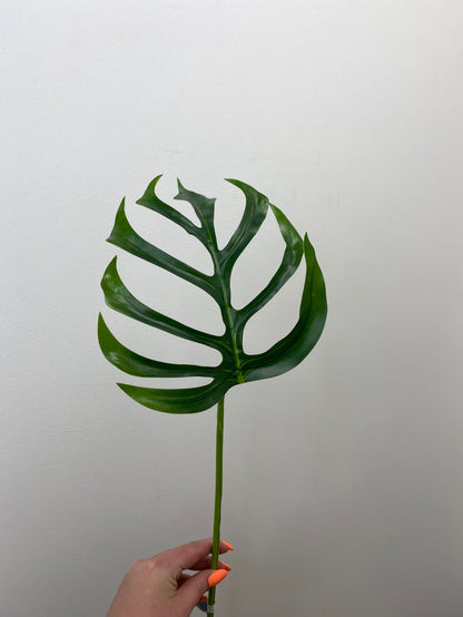 Green Monstera Leaf Spray