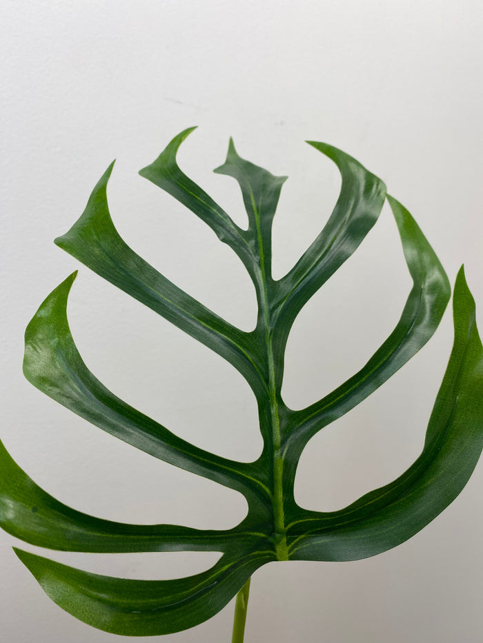 Green Monstera Leaf Spray