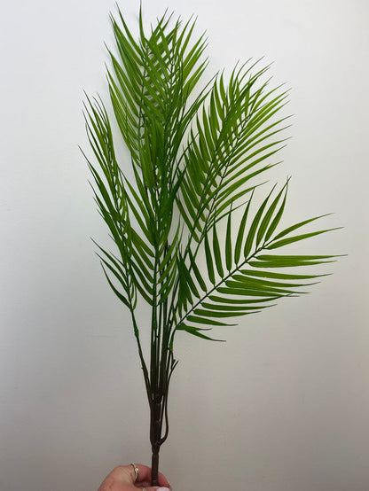 Green Palm Bush