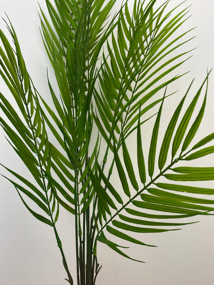Green Palm Bush