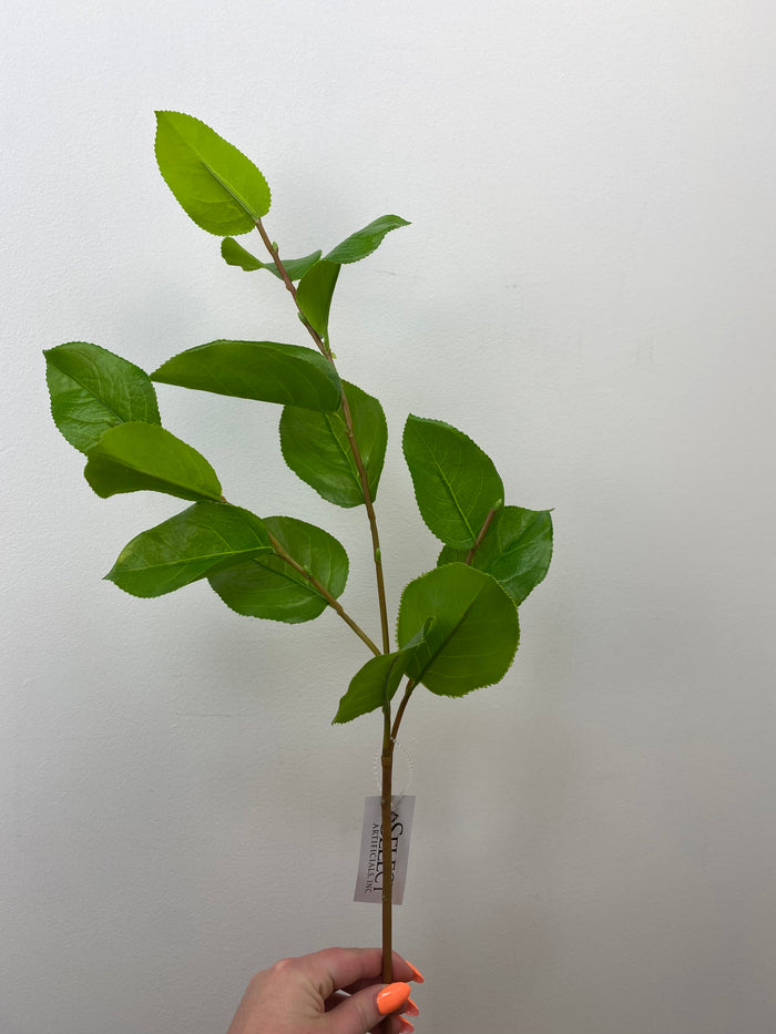 Silk green salal leaf spray 32 inch for farmhouse transitional everyday home decor from Magnolias Home Decor