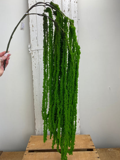 Green Soft Amaranthus Spray