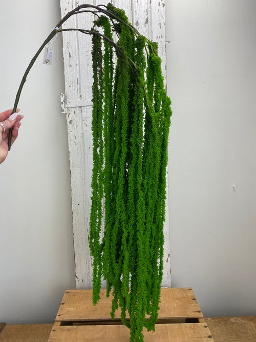 Green Soft Amaranthus Spray