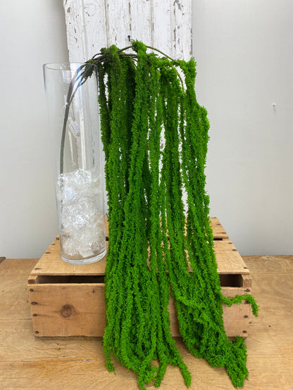 Green Soft Amaranthus Spray