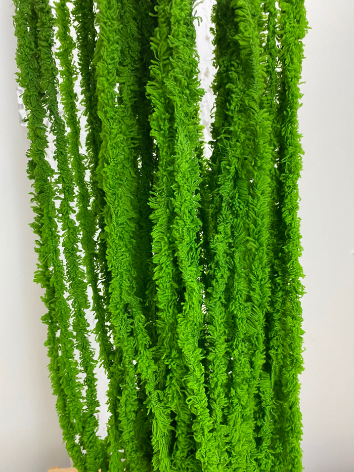 Green Soft Amaranthus Spray
