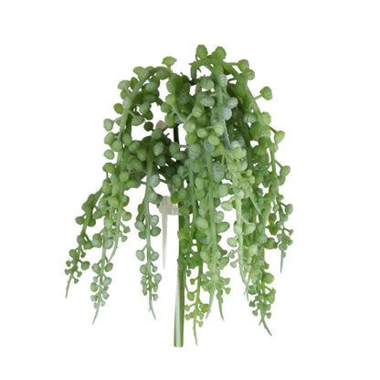 Luna Sedum Pick