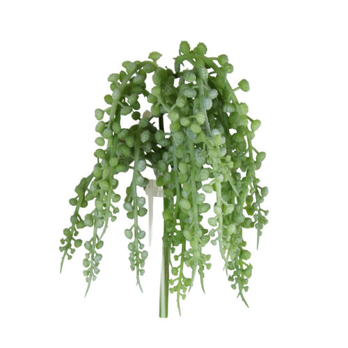 Luna Sedum Pick