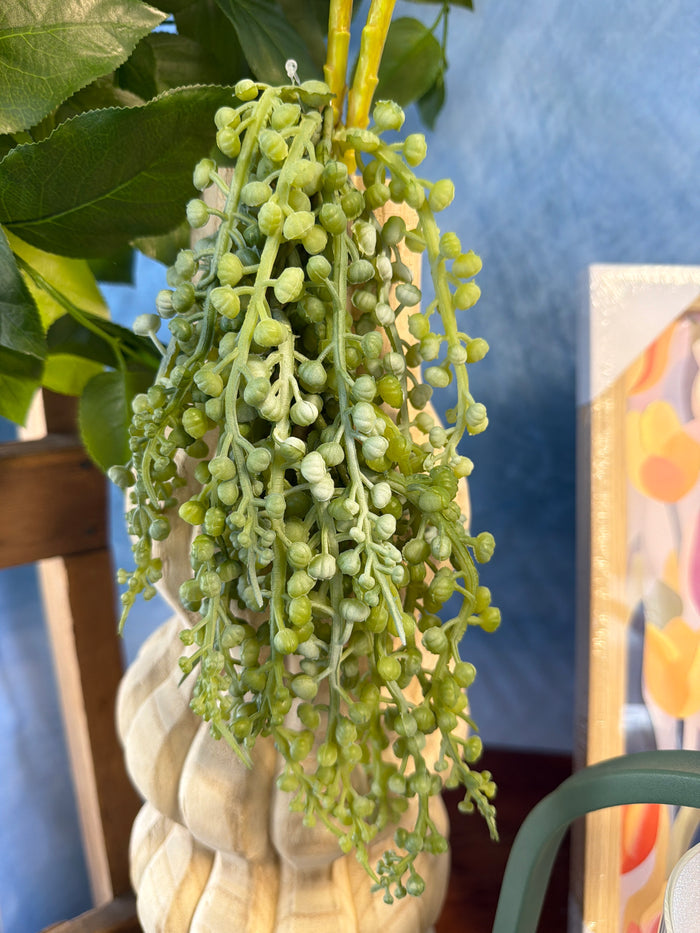 Luna Sedum Pick