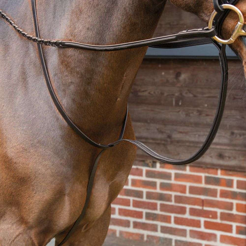 velociti lusso fancy standing martingale