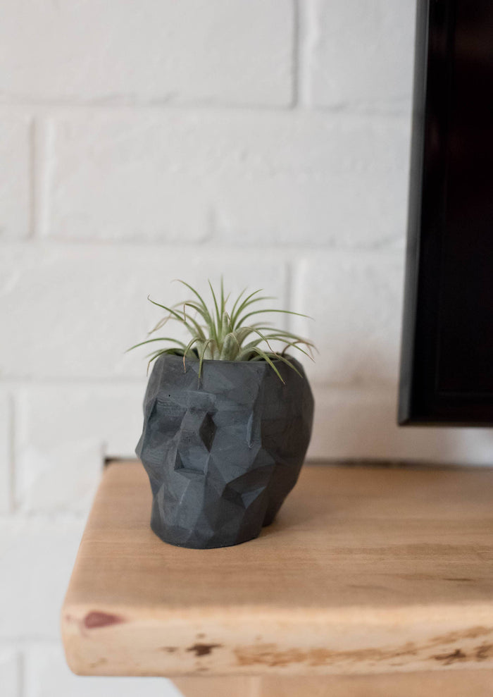 Made by Kippen - Skeleton Planter