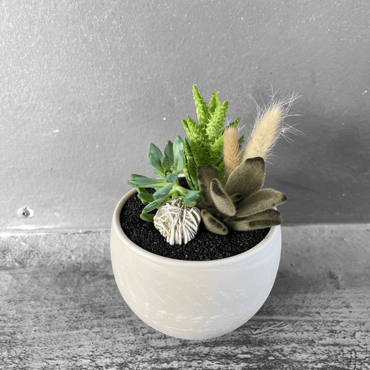 Marsh Succulent Garden W/ Dried Floral + Desert Rose Selenite Houseplant