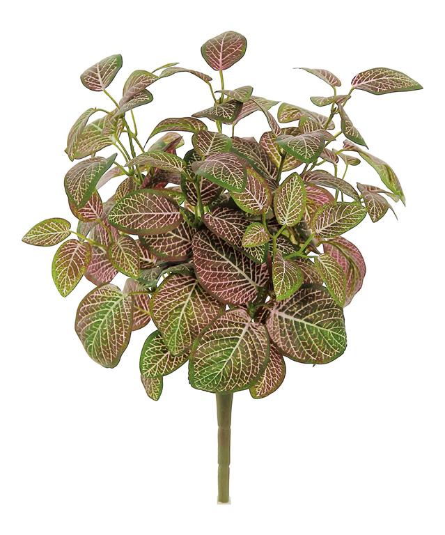 Silk mauve red green mini fittonia bush outdoor safe for transitional everyday home decor from Magnolias Home Decor