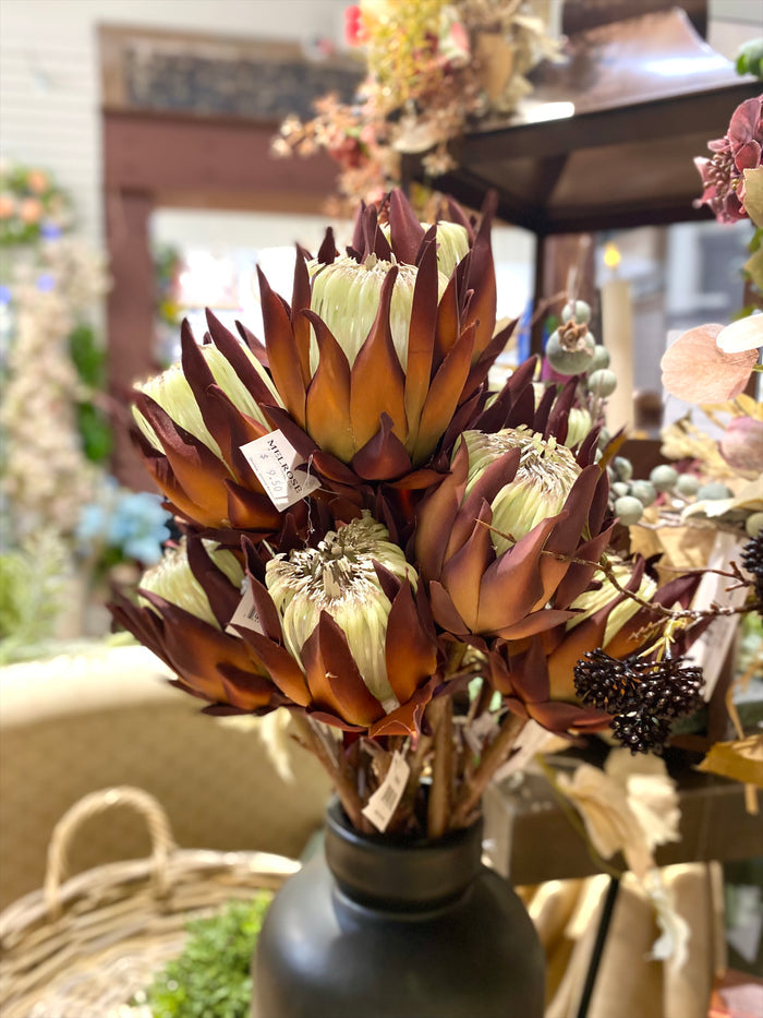 Mauve Protea Stem