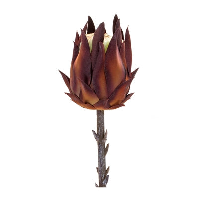 Mauve Protea Stem